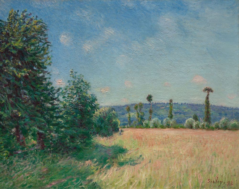 Sahurs Meadows in Morning Sun, 1894, oil on canvas.